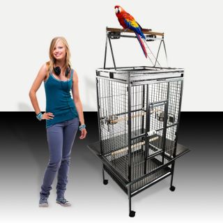   Bird Cockatiel Parakeet Finch Cage Playtop Gym Perch Stand