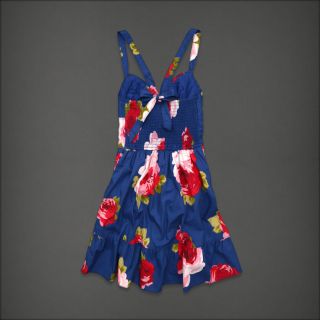 Abercrombie Women Blue Pink Floral Ruffle Dress Camille XS New