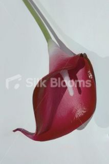 Colour Tipped Calla Lily Artificial Colourful Lilies Real Touch All 