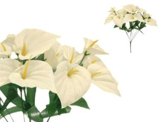   CALLA Lilies Flowers Bushes for Wedding Bouquets Centerpieces SALE