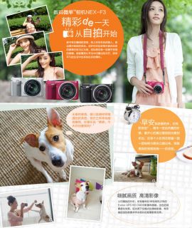 Sony 索尼 NEX F3K/B 数码微单™相机 单镜套装(E 18 55mm F3 