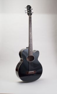 Epiphone El Capitan C5 Five String Acoustic Electric Guitar with 