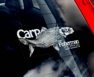Carp Fishing Car Window Sticker Koi Fisherman not Salmon Pike Bass Fly 