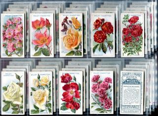 Tobacco Card Set, WD & HO Wills, ROSES, Garden Rose Types, 2nd Series 