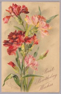 Catherine Klein Carnations Pink and Red Vintage Birthday Postcard 117 