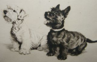 Antique Etching by Cecil Aldin What About A Walkie