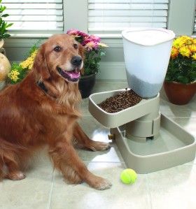 Large Automatic Ant Proof Dog Cat Pet Feeder Dish Bowl
