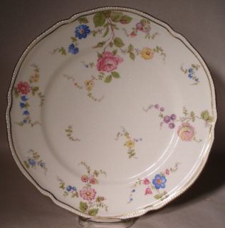 Castleton China Sunnyvale Use Scratches Dinner Plate