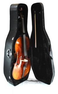 cello case black inside 11222010 3