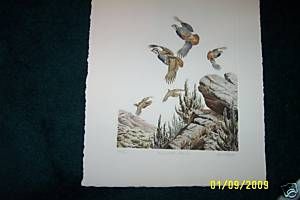 Quail Print by Dave Chapple Signed BW