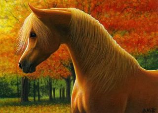 Chestnut Arabian Horse Autumn Fall Trees Limited Edition ACEO Print 