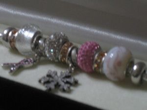 Charmed Memories Bracelet and Charms by Kays Jewelers