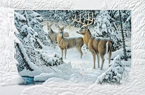 White Tail Deer Family Boxed Christmas Cards
