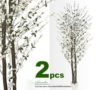 Cherry Blossom 7 Real Wood Artificial Trees Potted W