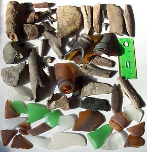 Maryland Chesapeake Bay Beach Glass Stone Bone Ray Shark Teeth Shell 