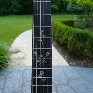 Chris Bozung OM Model Guitar With New Martin and Gibson Strings