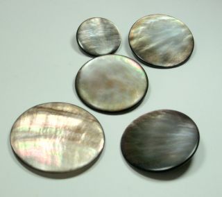 Victorian Large Abalone Shell Buttons with Metal Shanks