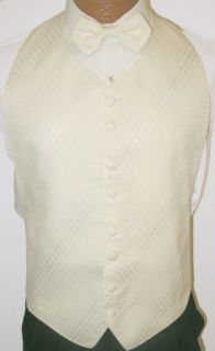 Off White / Ivory Intrigue Open Back Vest and Tie