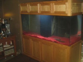 Complete Luxury 240 Gallon Acrylic Fish Tank Aquarium Canopy Extra