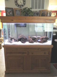90 Gallon Glass Fish Tank Complete Set Up With Wood Hutch Stand and
