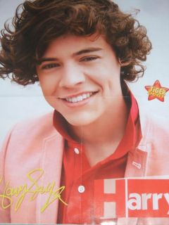 NEW   One Directions Harry Styles Smiling 16 x 20 Wall Poster b/w Big