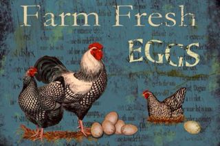 Blue Farm Fresh Egg Metal Sign Country Primitive Farm Barn Kitchen