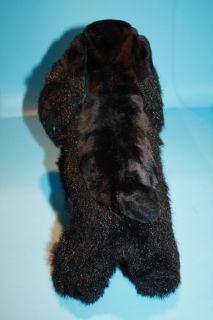 11 Jet Black Plush Cocker Spaniel Dog Stands Alone Brown Eyes No Tags
