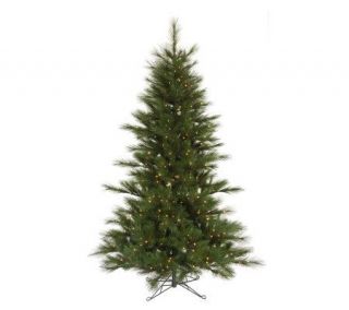 12 Scotch Pine Prelit PE Tree w/ Clear Lightsby Vickerman —