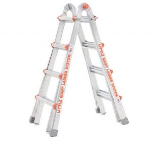 Little Giant Model 17 Multipurpose Ladder Type1A —
