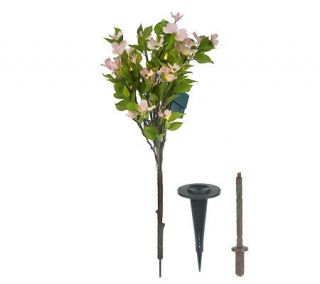 BethlehemLights BatteryOperated 36 Stakable Dogwood Tree with Timer 