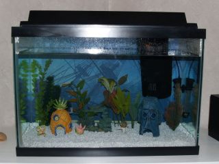 Complete 20 Gallon Fish Aquarium Tank with all Components