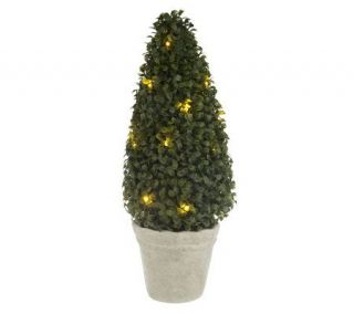 BethlehemLights BatteryOperated 18 Cone Boxwood Tree with Timer