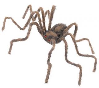 30 Brown Spider Halloween Decoration —
