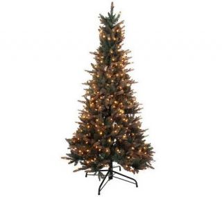BethlehemLights 7.5 Blue River Spruce Tree w/ Instant Power and 5 Year 