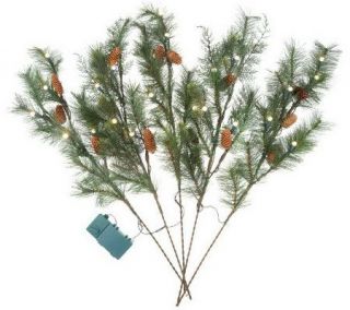 As Is BethlehemLights Batt. Op. 36 Pine Branches —