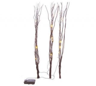 BethlehemLights BatteryOperated 36 Natural Twigs with Timer