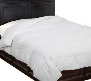 Northern Nights Egyptian Cotton 600 FP TW SZ Pure White Down Comforter 