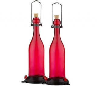 Set of 2 Bottle Shaped Hummingbird Feeders with Detour Ant —