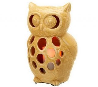 HomeReflections Ceramic Owl Luminary with FlamelessCandle —