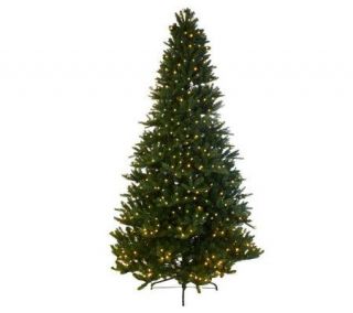 Mr. Christmas Wisconsin Fir 7.5Pre Lit LED Tree with 5 Year LMW