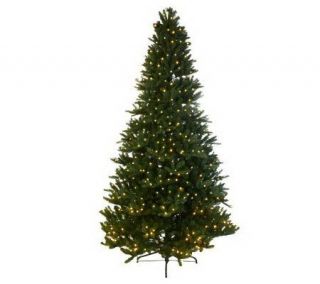 Mr. Christmas Wisconsin Fir 9 Pre Lit LED Tree with 5 Year LMW 