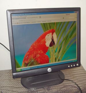Dell E173FPB 17 LCD Computer Monitor Flat Panel Thin