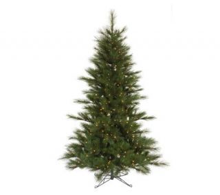 Scotch Pine Prelit PE Tree w/ Clear Lightsby Vickerman —