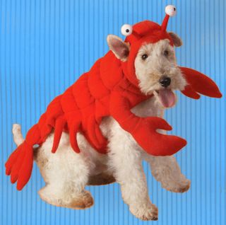 Maine Lobster Crawfish Sebastian Crab Pet Dog Costume