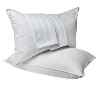 Northern Nights S/2 QN 550 FP Goose Down Pillows w/Covers —