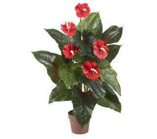 Anthurium Plant (Real Touch) by Nearly Natural —