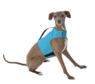 Yap Wrap Choke Free Body Harness for Small Dogs —