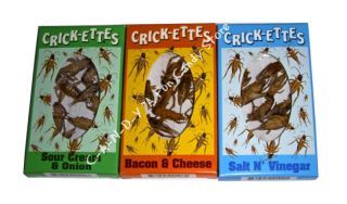 CRICK ETTES Insect Snacks Edible Fear Factor Bugs