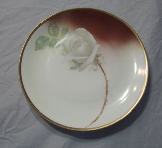  FAVORITE BAVARIA HAND PAINTED NORMA BEAUTY ROSE PLATE SIGNED DARCY