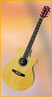This is a great guitar that is designed for quality sound and artistic